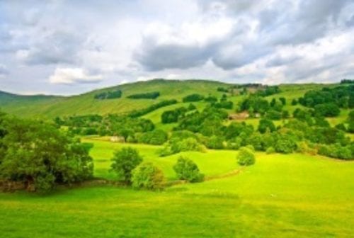 Countryside scene