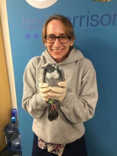 Ison Harrison’s Otley Branch Rescues “Santa The Pigeon” Stuck In A Chimney