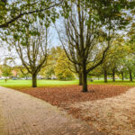 5 tips to simplify the divorce process